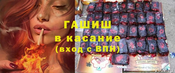 индика Осташков