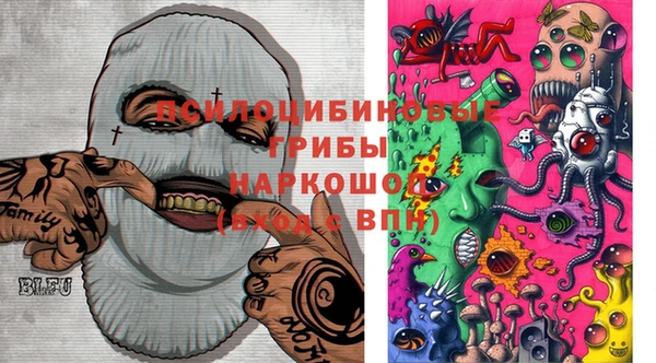 молекула духа Аркадак