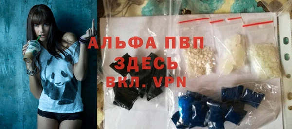 индика Осташков