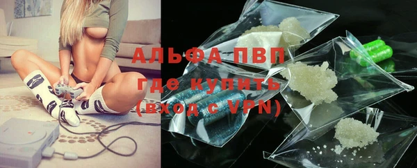 индика Осташков